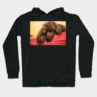 Dolly Molly 2 Hoodie